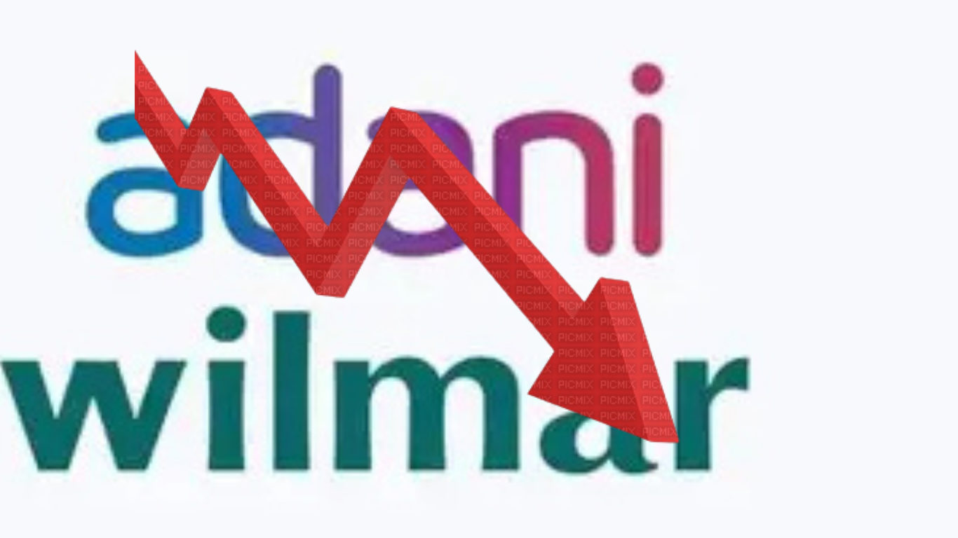 Adani Wilmar Impact