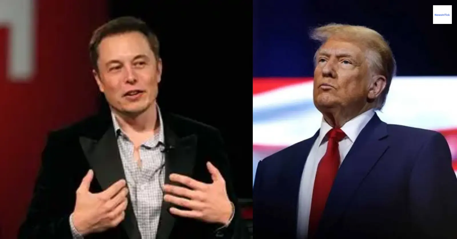 trump-musk-80-genius-2025